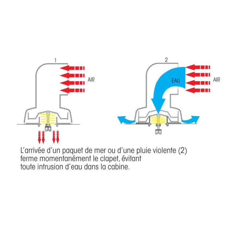 PLASTIMO Boîte Dorade Cool'n Dry | 210 X ø 100 Mm – Image 4