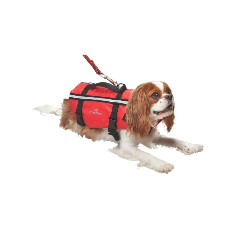 PLASTIMO Gilet Pour Chien – Image 3
