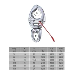 WICHARD Mousqueton à Ouverture Sous Charge HR